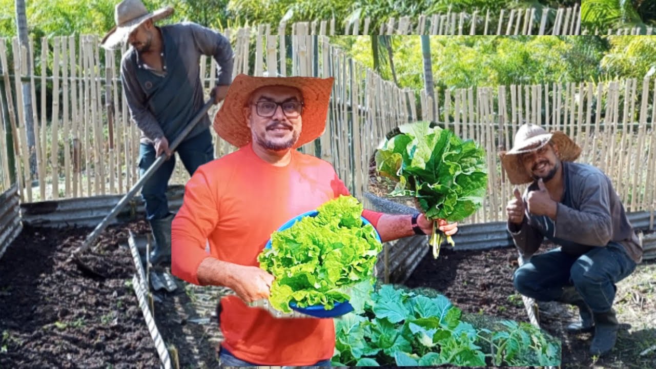 Finalizando a horta feita com bambú, sítio caipira do vale 