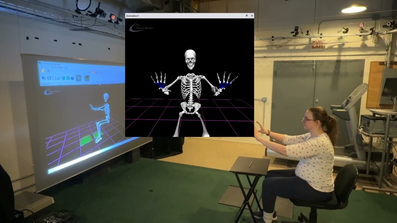 Real-Time Markerless Motion Capture