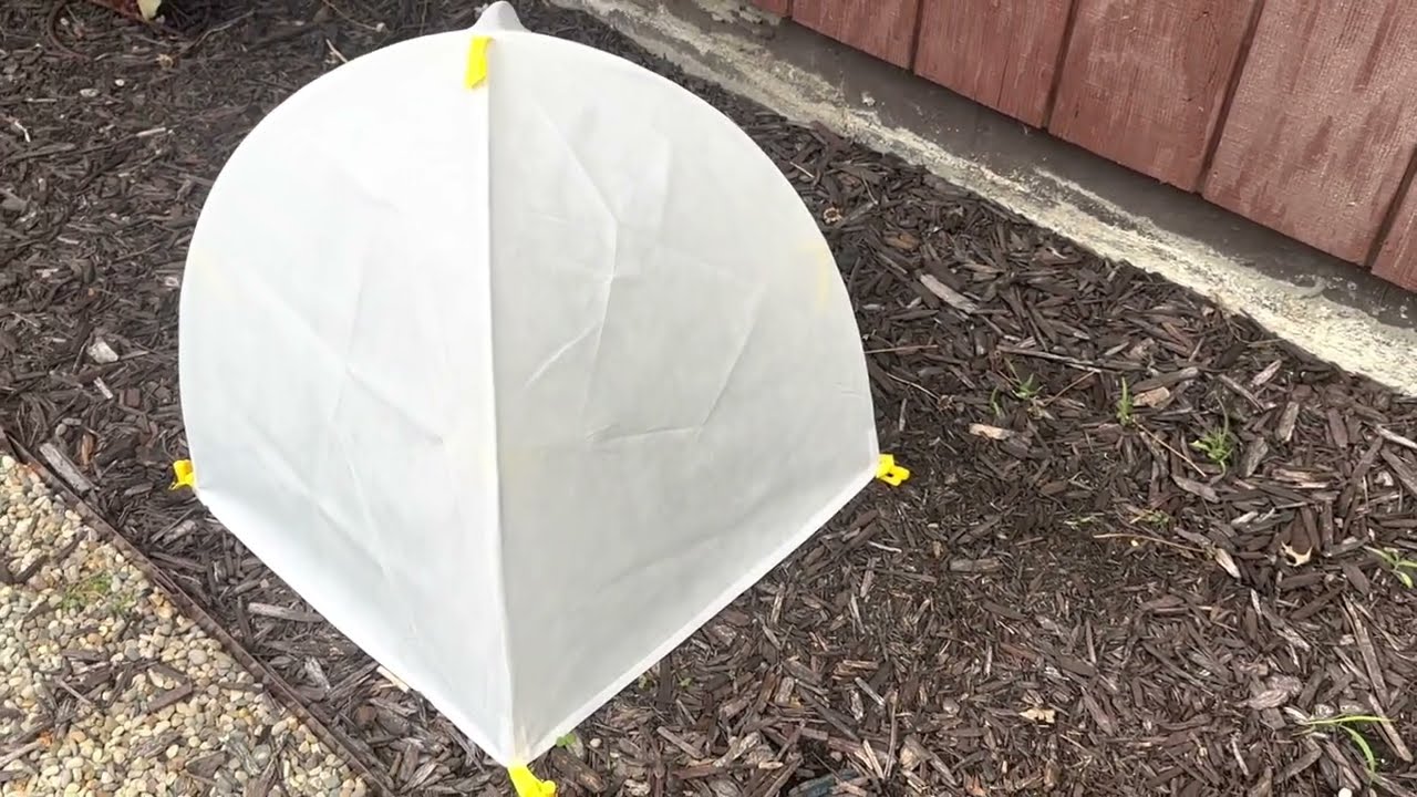 Review of Plant Covers Freeze Protection,Plant Protector and Cover