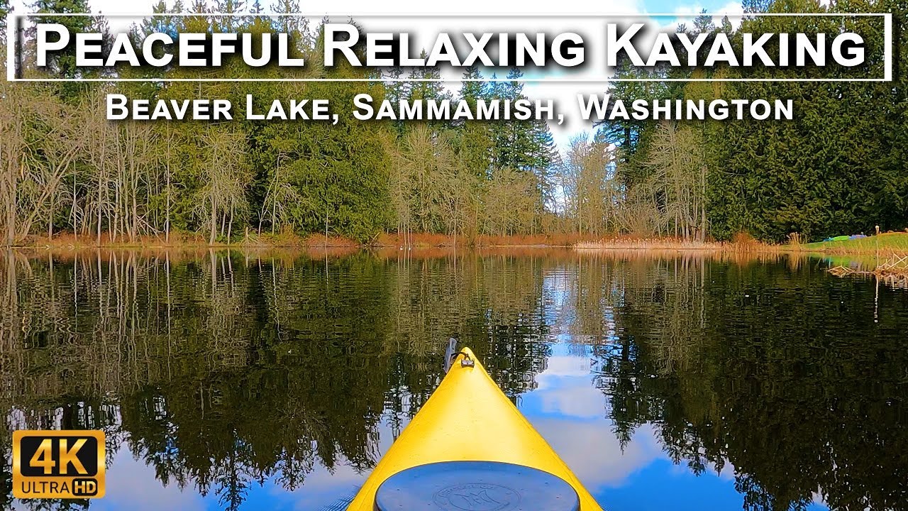 Peaceful Relaxing Kayaking - Beaver Lake, Sammamish, WA in 4K UHD - Nature, Paddling, Birds, Ducks