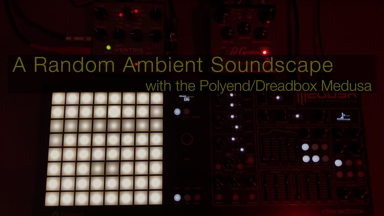A Random Ambient Soundscape // Polyend-Dreadbox Medusa + Ventris Dual Reverb