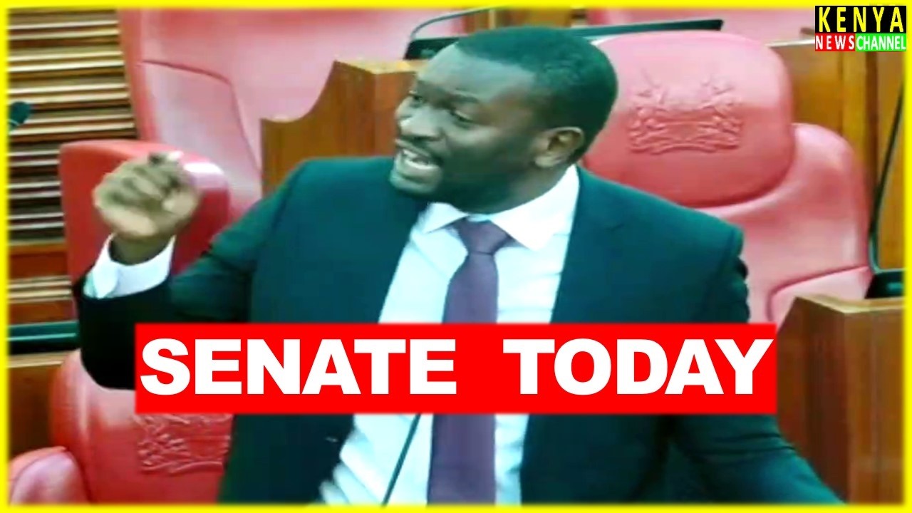 Senators SILENT as Angry Edwin Sifuna reacts to Shooting during Kitengela Rally