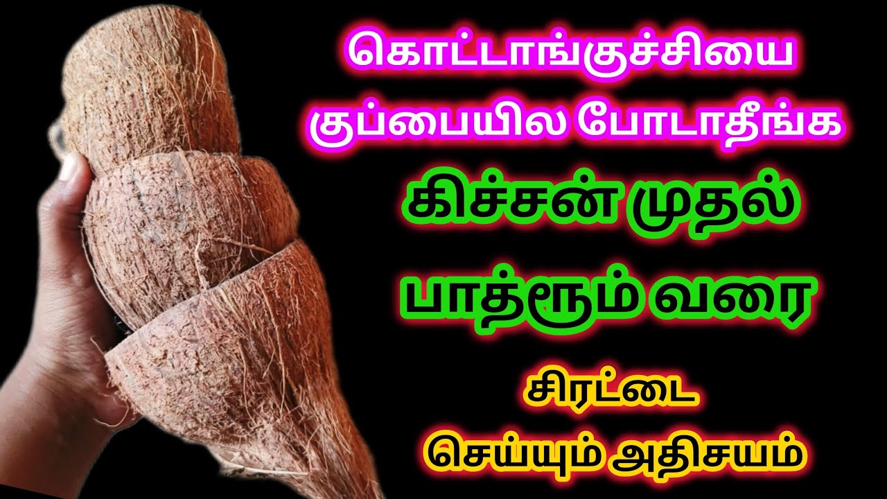அடக்கடவுளே இது தெரியாம கொட்டாங்குச்சியை தூக்கி போட்டோ/kitchen tips in Tamil @Sabeevlogs   