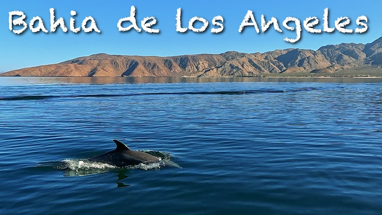 Bahia de los Angeles Boat Tour in 4K