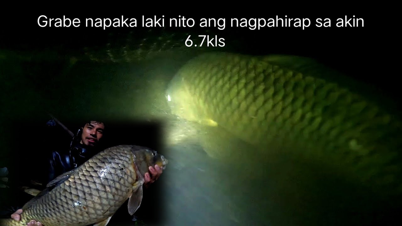 Part 2:Jackpot 😱😲 Pinahirapan Ako ng mamaw na 'to‼️Ang Laki at lakas niya #TYL #fish  #catchandcook
