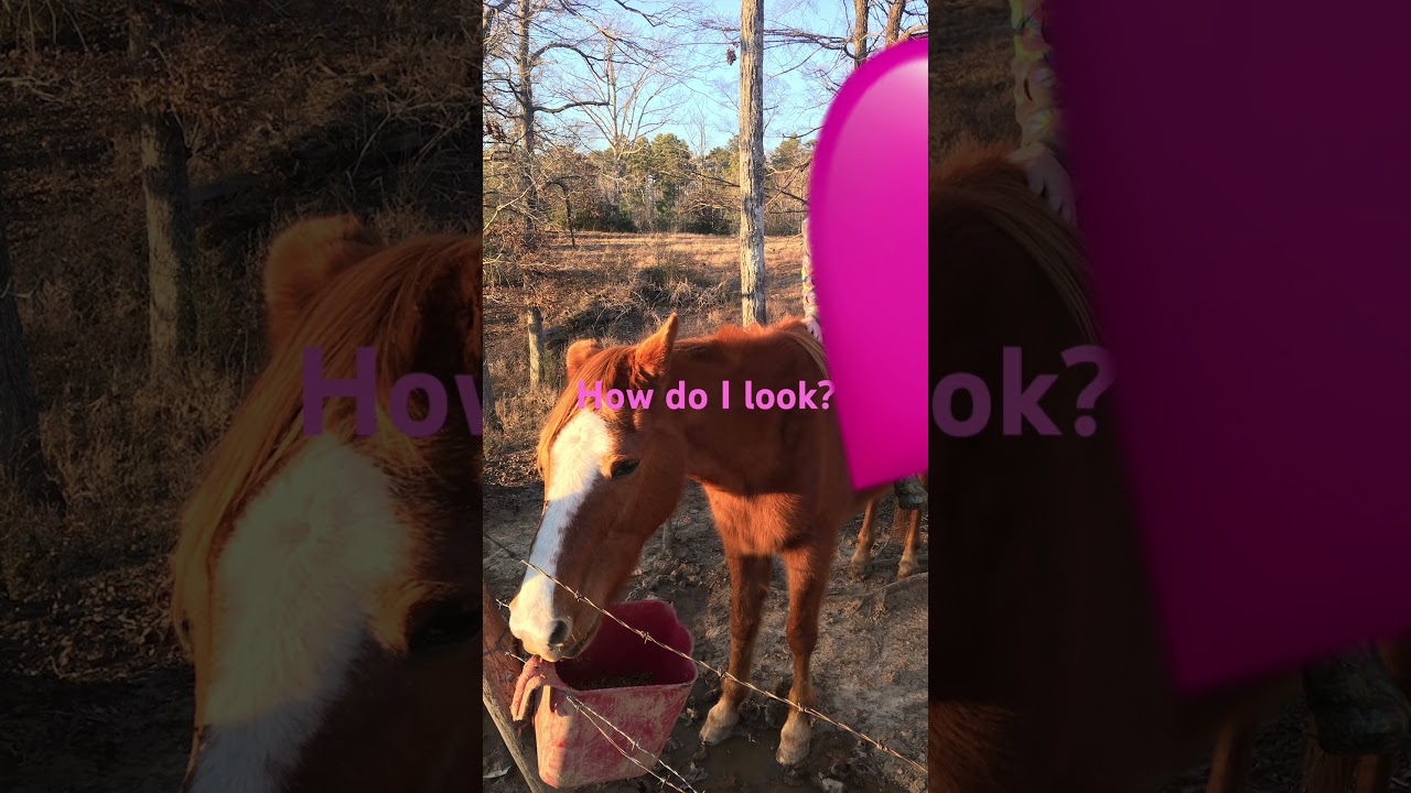 Love you Flicka!!🩷🩷