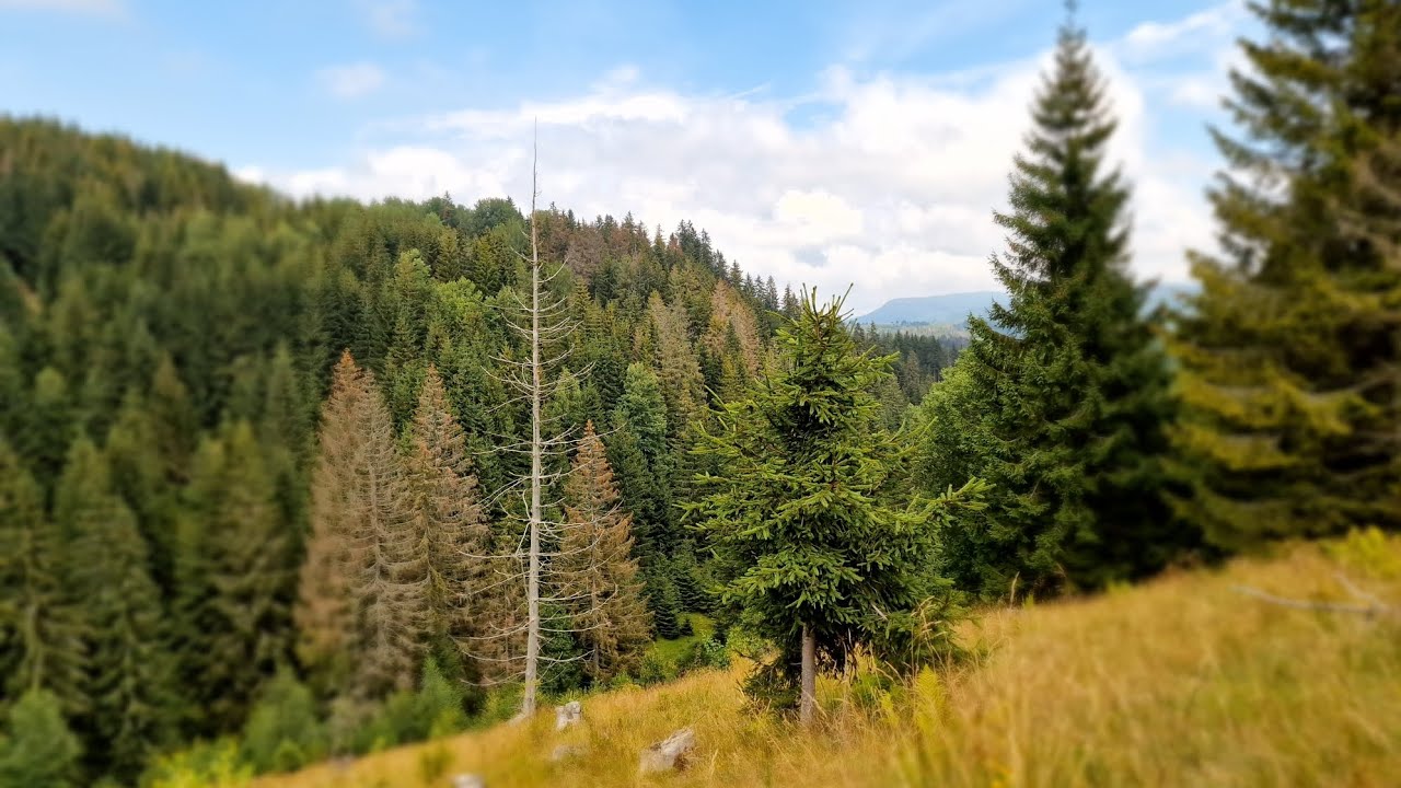Lom nad Rimavicou - Túra 🙂