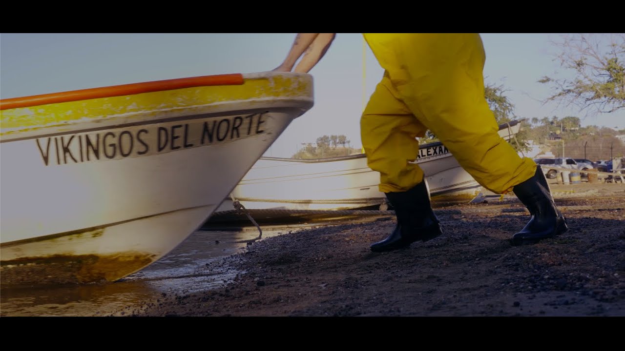 Los Vikingos del Norte - Playa Bonita (Video Oficial)