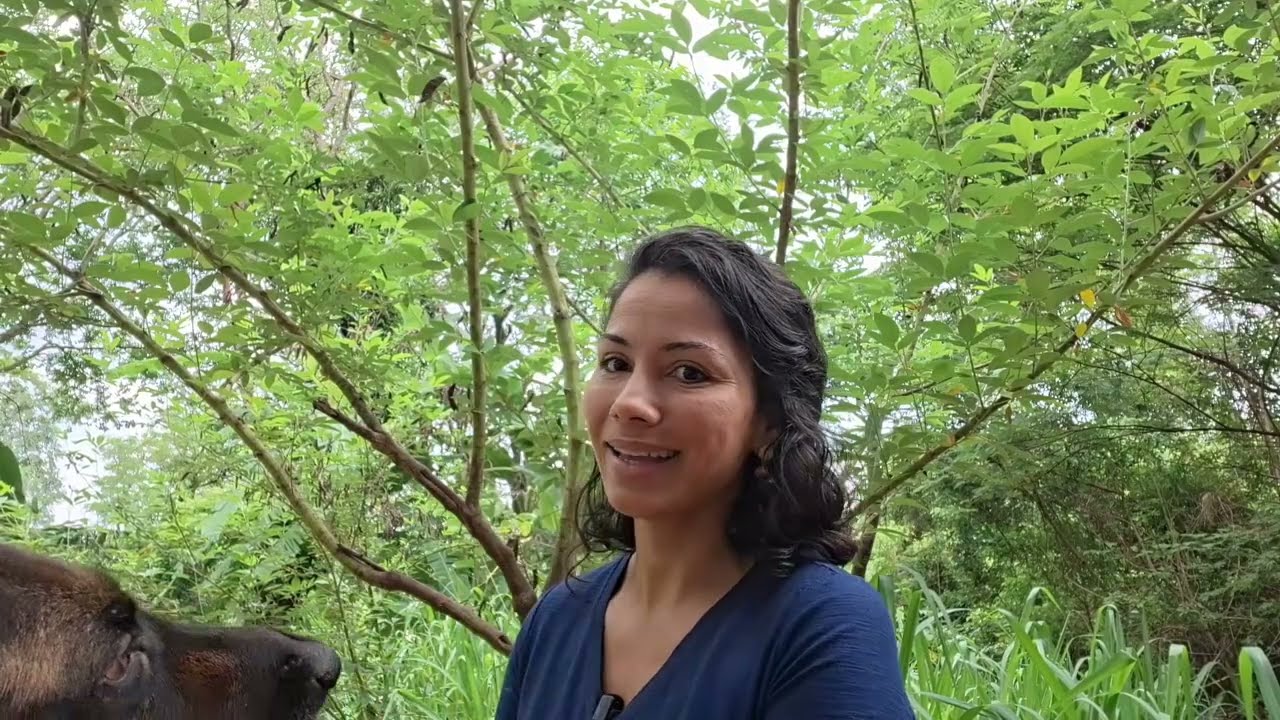 Como Desenvolver sua Intuição? Assista Tem Exercício Prático Junguiano.