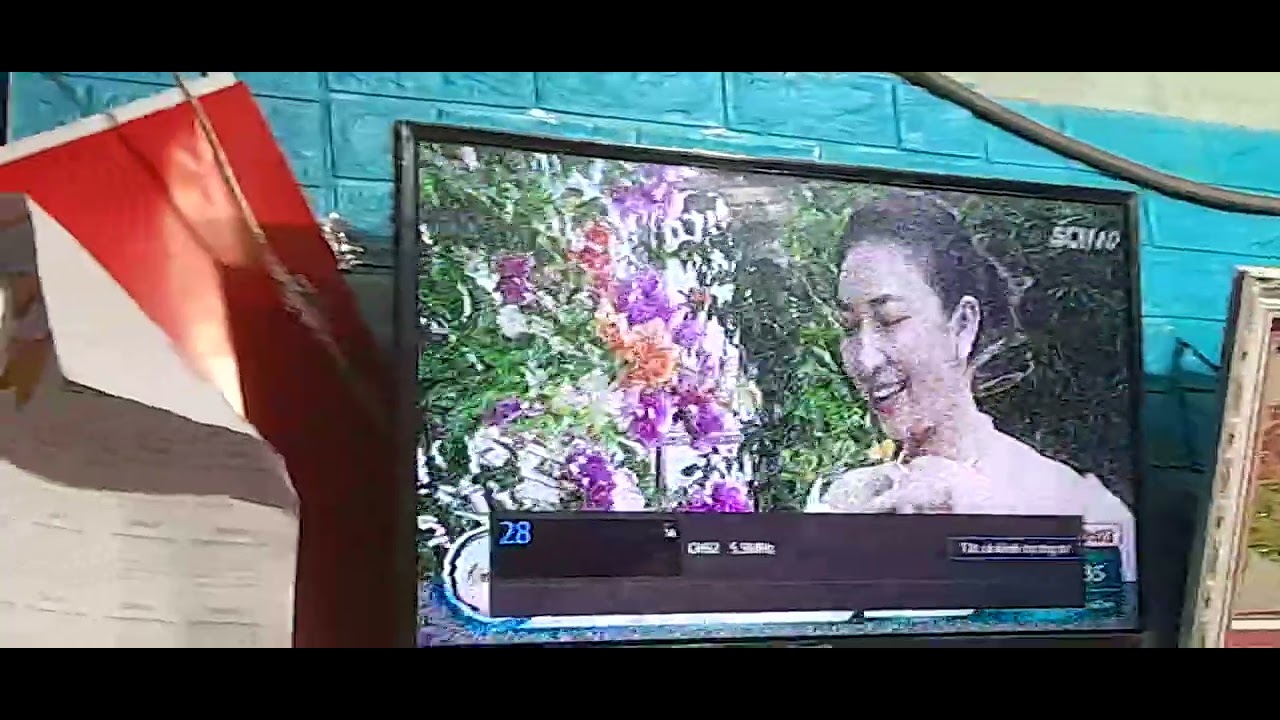 sctv analog 2026