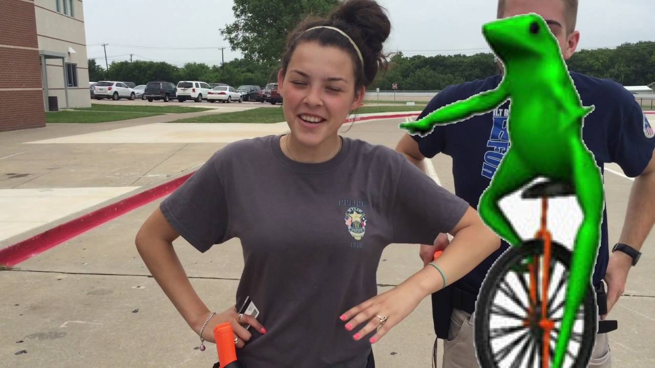 Traffic Stop Procedures