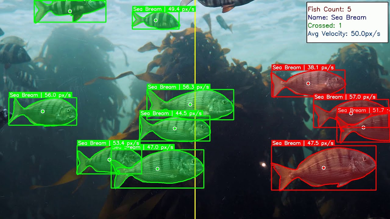 How Smart Fish Counting and Movement Tracking Boosts Your Fish Farm