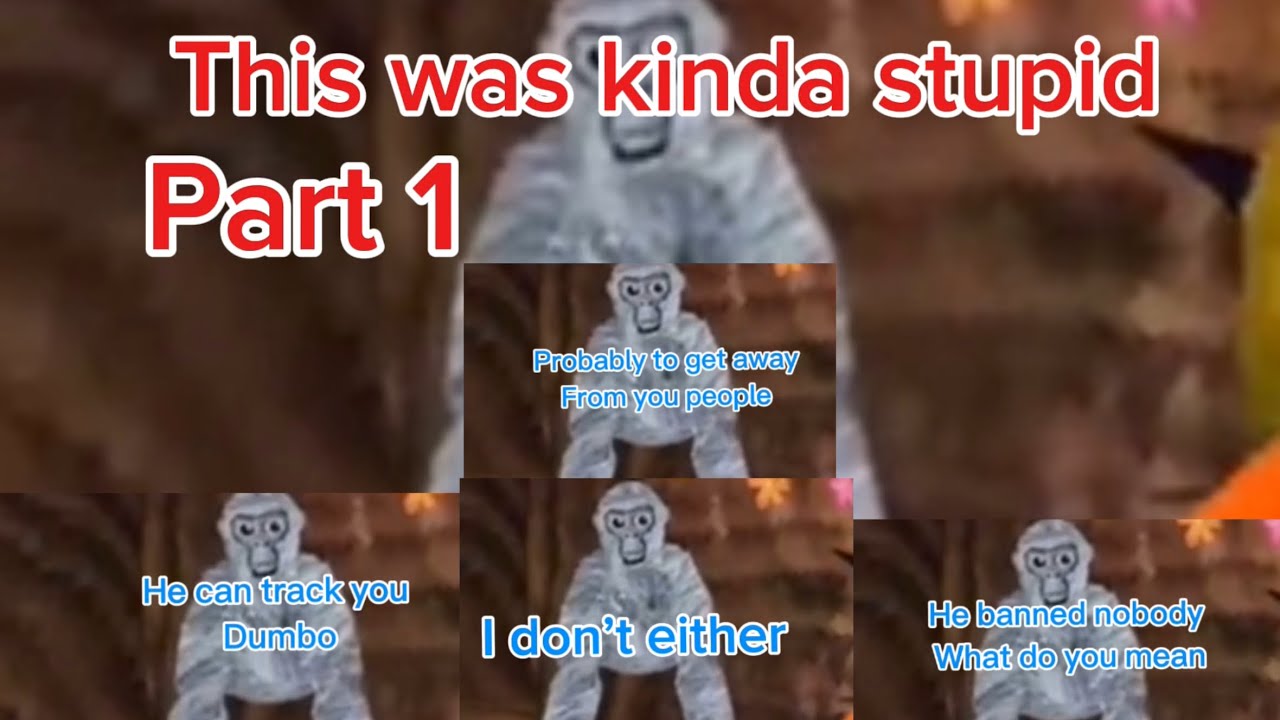 This was kinda stupid part 1 #gorillatag #videos