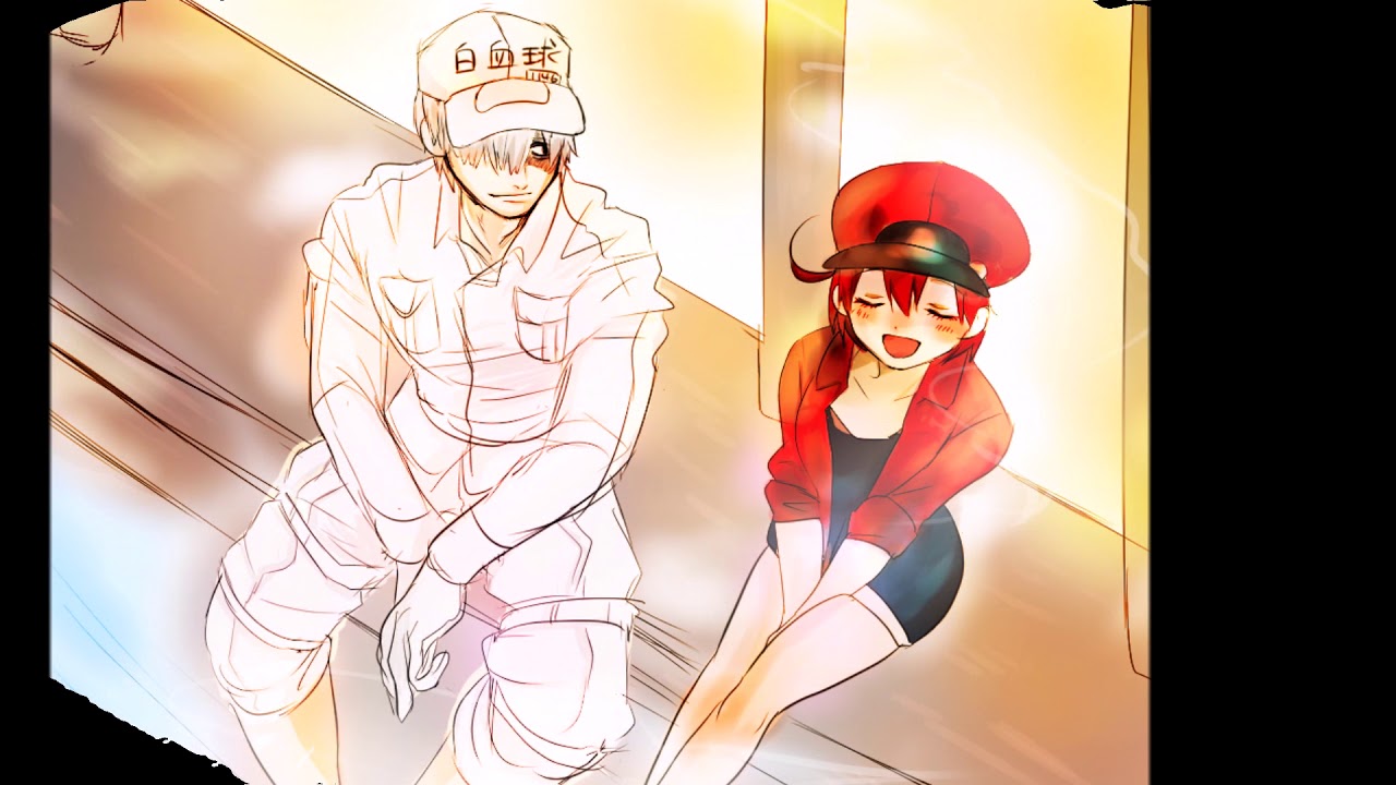 Hataraku Saibou -  Red Blood Cell x White Blood Cell :3