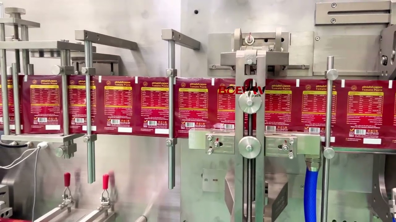 BHD 240DS HFFS Machine | 100ml Ketchup Doypack Packing Machine