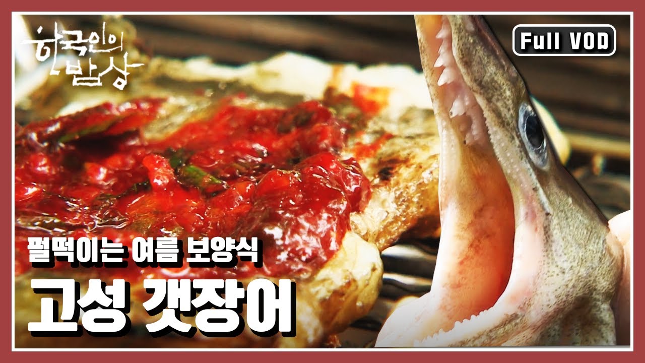 [한국인의밥상★풀버전] 쫄깃하고 고소한 식감으로 인기 높은 갯장어가 돌아왔다! &ldquo;펄떡이는 바다의 힘을 먹는다 고성 갯장어&rdquo; (KBS 140821 방송)