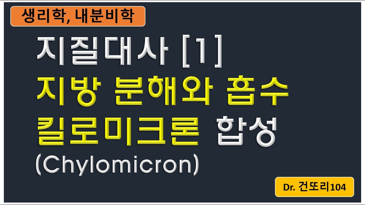 지질대사 [1] 지방의 소화, 킬로미크론(Chylomicron) 합성