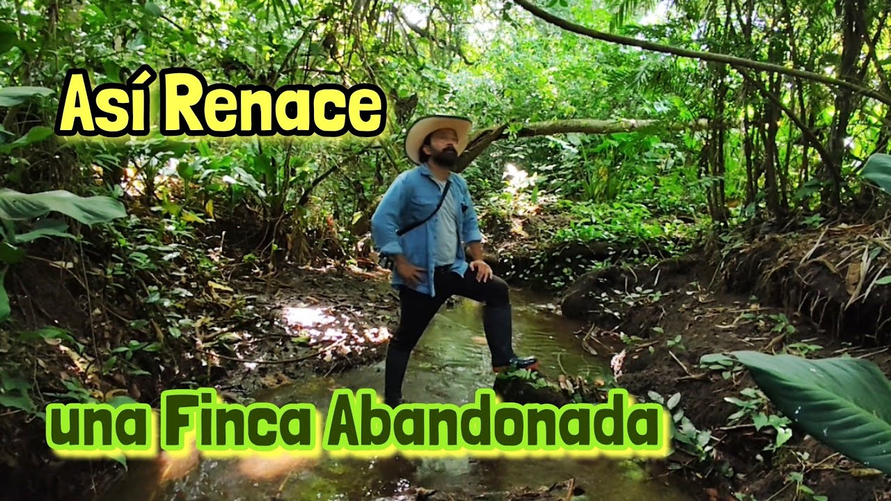 “Años de abandono... Hoy renace esta hermosa Finca Ganadera”