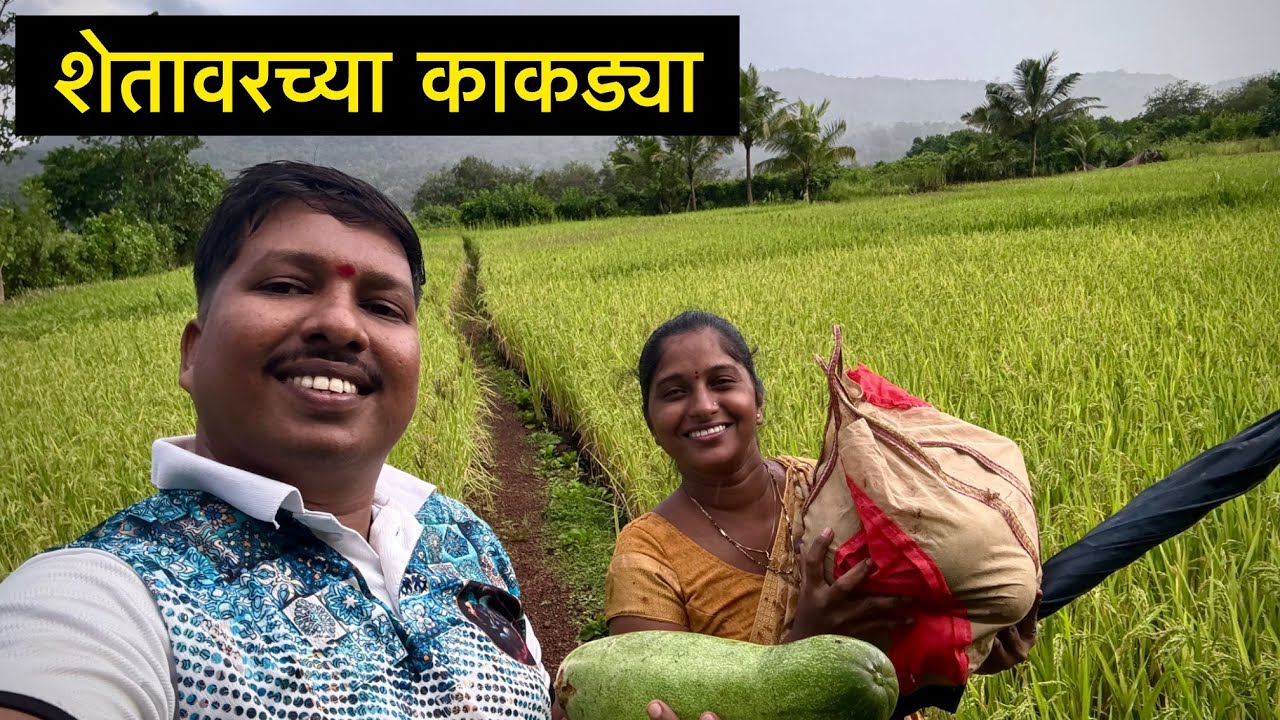 बायकोसोबत गेलो शेतावर काकड्या आणायला 😍 | सोसाट्याच्या पाऊस आणि वारा | S For Satish | Ambavali, Kokan
