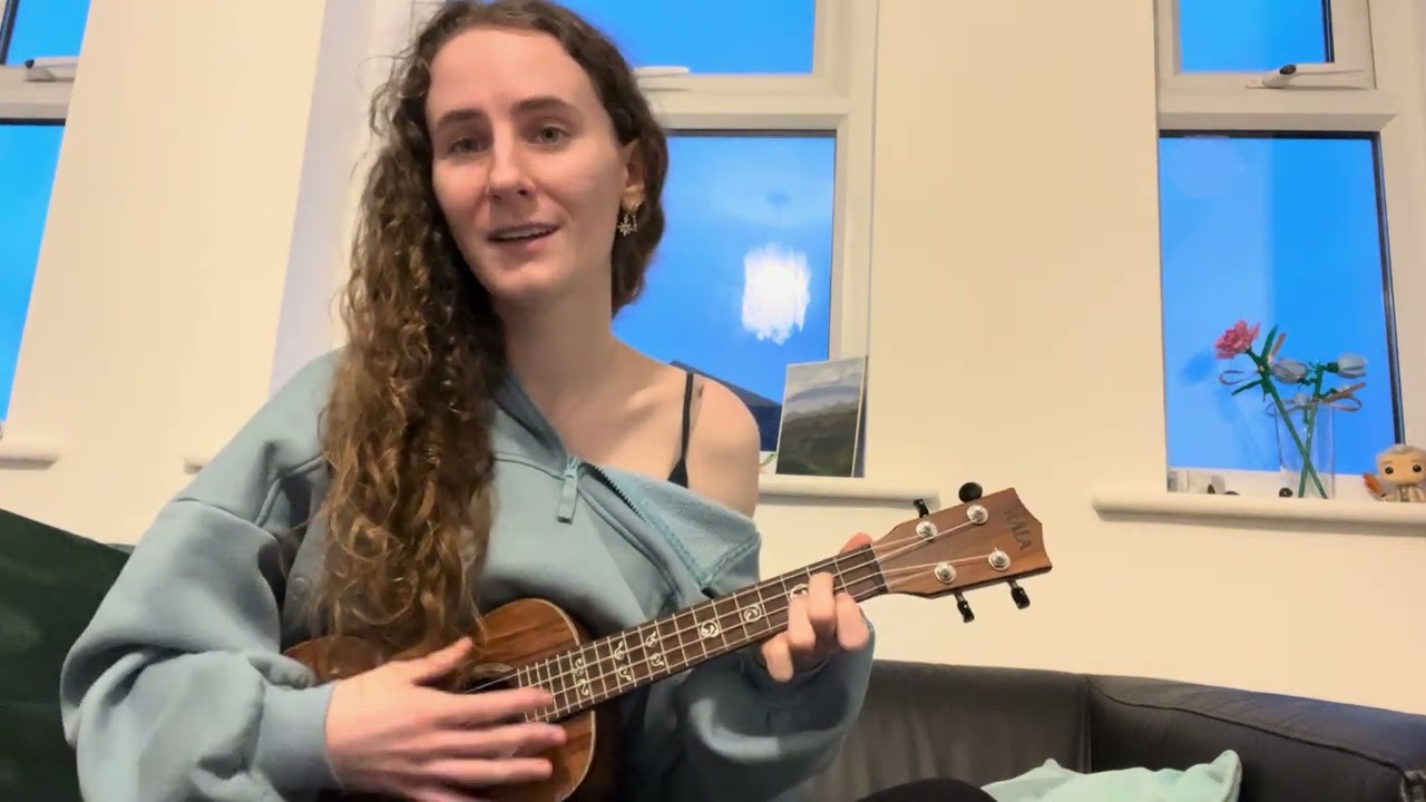 Wagon Wheel - Old Crow Medicine Show (Cover)