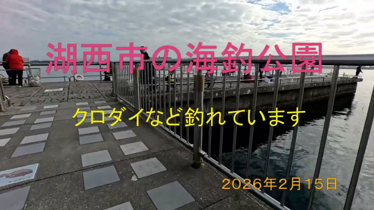 湖西市の海釣公園　クロダイなど釣れています　2026年2月15日