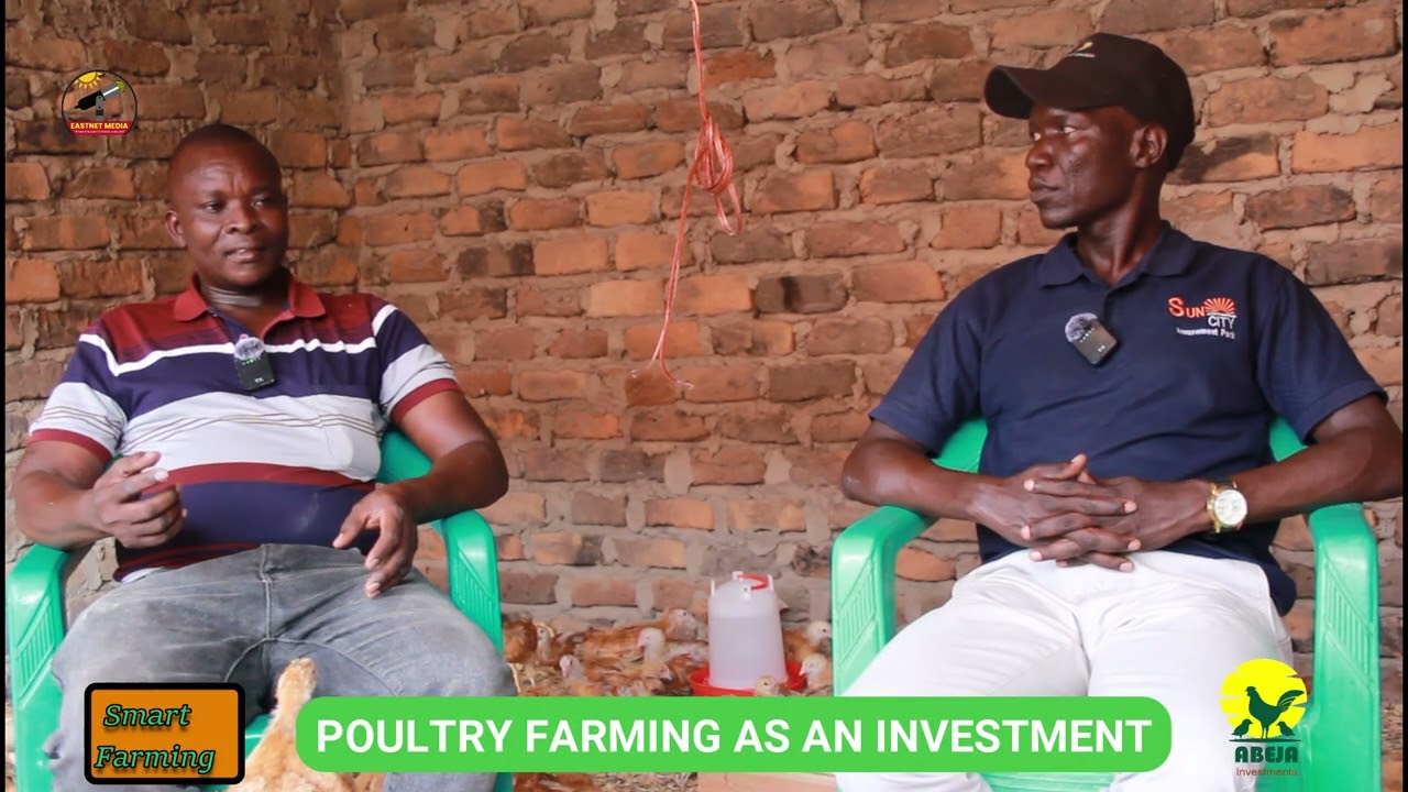 Good news:His vision and how Uzima Chicken changed Odengot's life Part 1