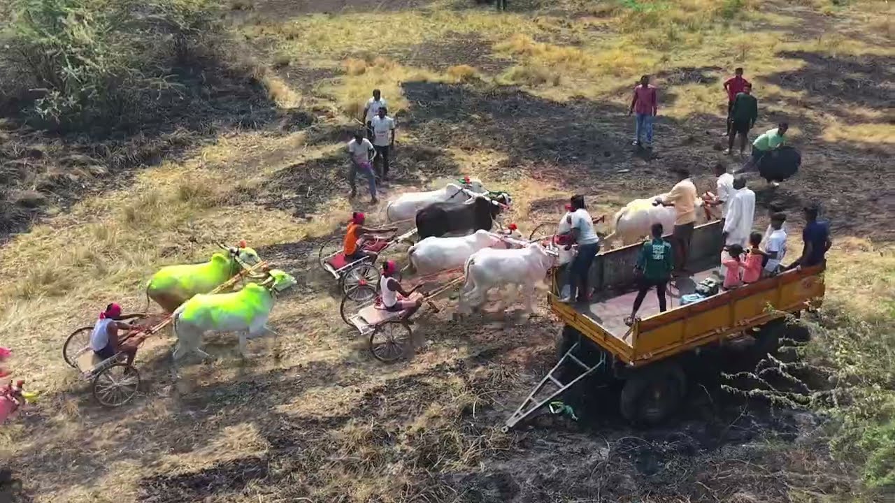 अर्जुनवाड दुस्सा चौसा बैलगाडी शर्यत बक्षीस 21000