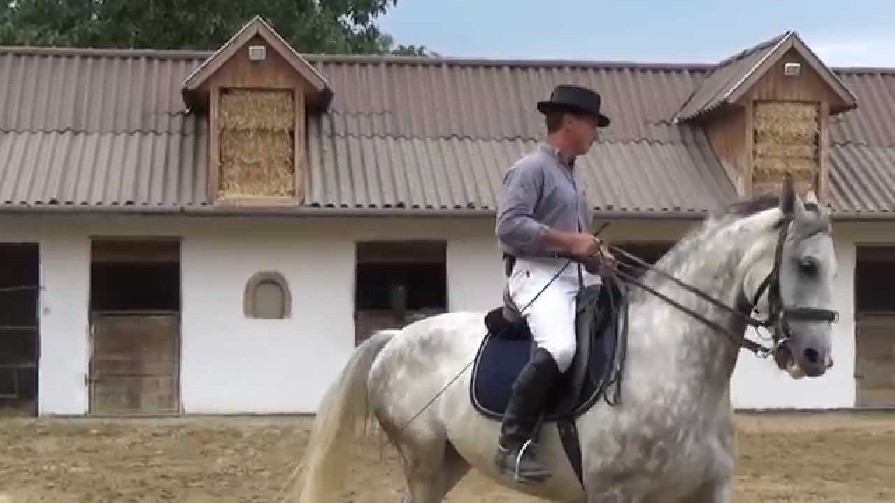Lovas gyerektábor 2015 - zárónap