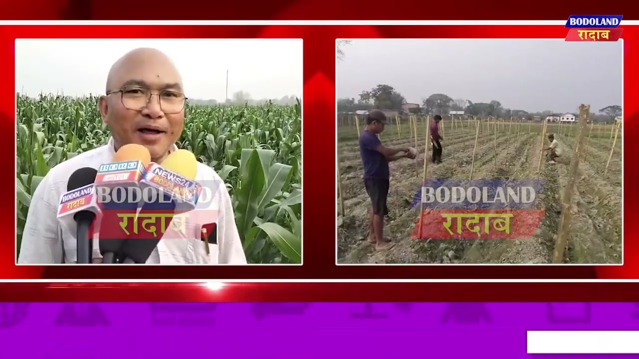 आबादारिफोरनि थाखाय जिखिजाया आबाद मावनायावनि सायाव सरखारा इन्सुरेन्स होनांगौ