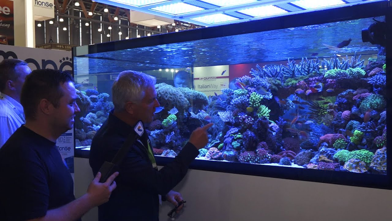 (English) De Jong Showtank The-Making-Of-Interview with CEO Arie De Jong | Interzoo 2016