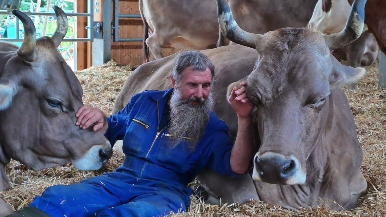 Mit Tieren leben 🐮🧡
