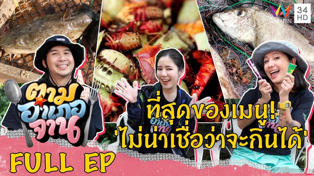 เทปพิเศษ “เมนูไม่น่าเชื่อว่าจะกินได้” | ตามอำเภอจาน | 31 ธ.ค.65 Full EP