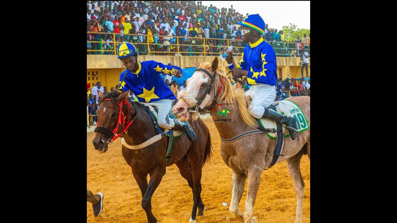 JAABAL 26em JOURNEE GRAND PRIX KIRÉNE EDITION 2025#horse #courseshippiques #foot #cheval #sports