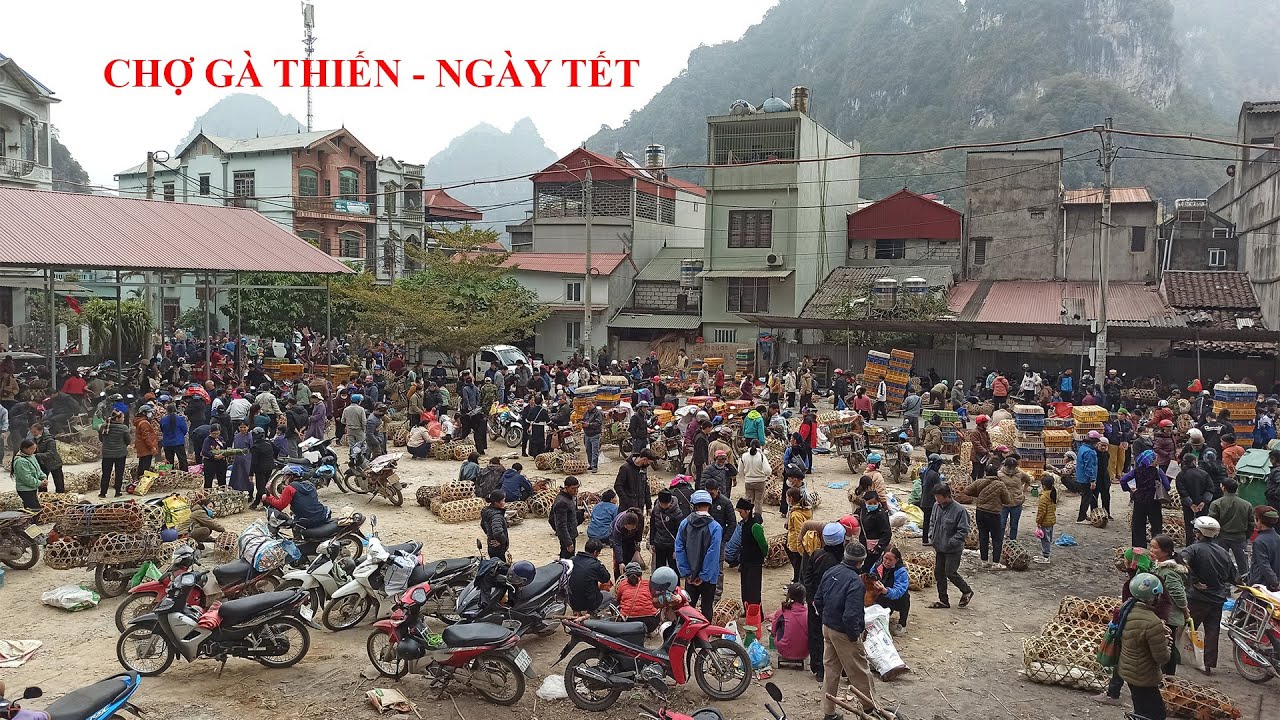 Chợ Gà Thiến Ngày Tết Quảng Uyên Cao Bằng. Khám Phá Chợ Phiên Ngày Tết Tại Cao Bằng