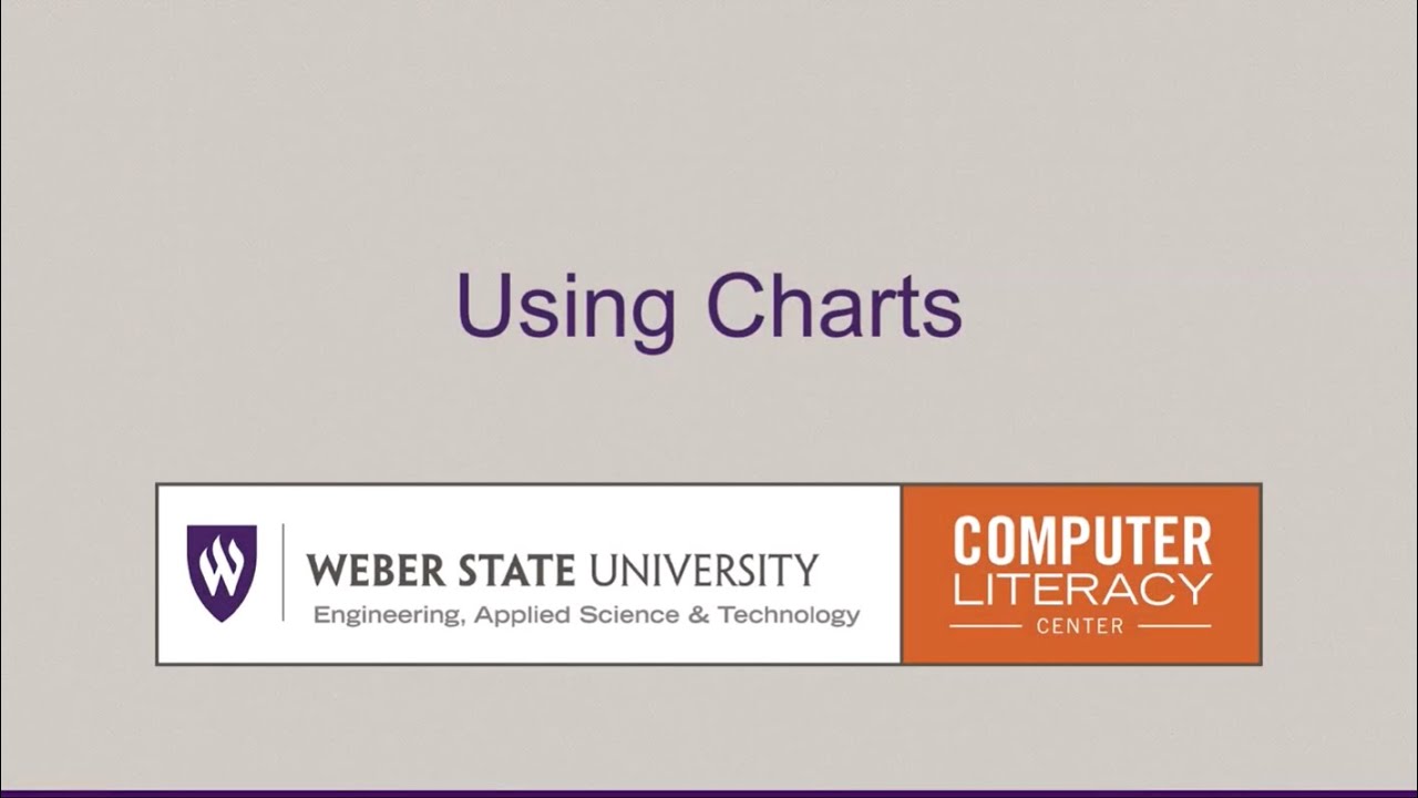 Using Charts Excel 2024