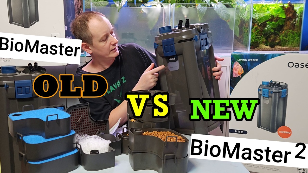 OASE Biomaster 2: новый фильтр-канистра против старого. Характеристики, обзор, руководство.