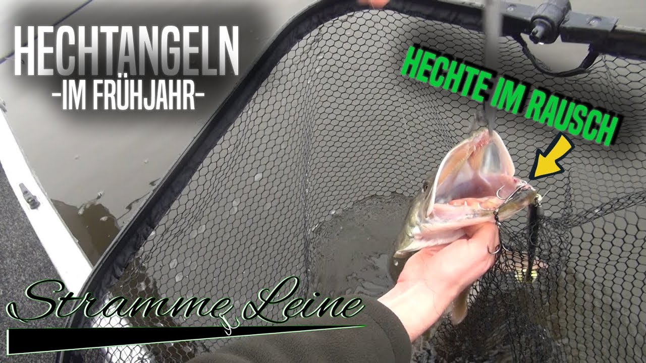 HECHTANGELN im FR&Uuml;HJAHR - Die ersten HECHTE zum Saisonstart