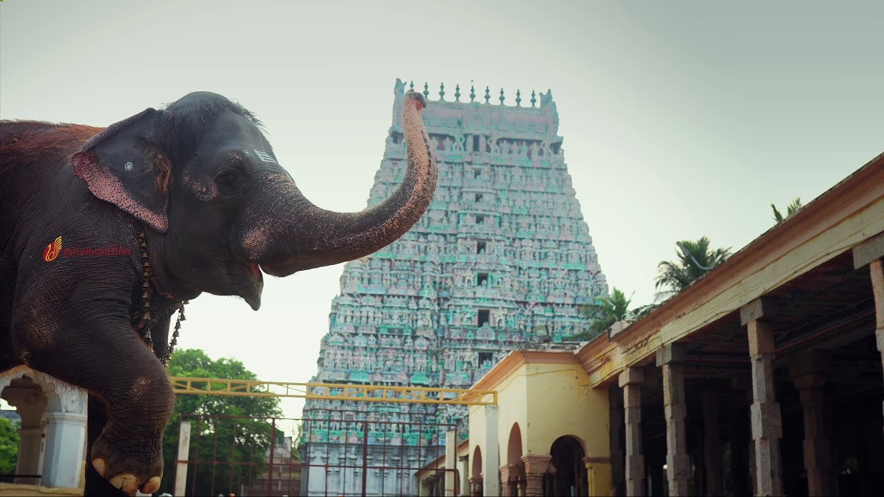 ச ரி க ம ப த நீ ச - கும்பகோணம்  | Thangamayil Jewellery | Kumbakonam Song | தங்கமயில் கும்பகோணம்.