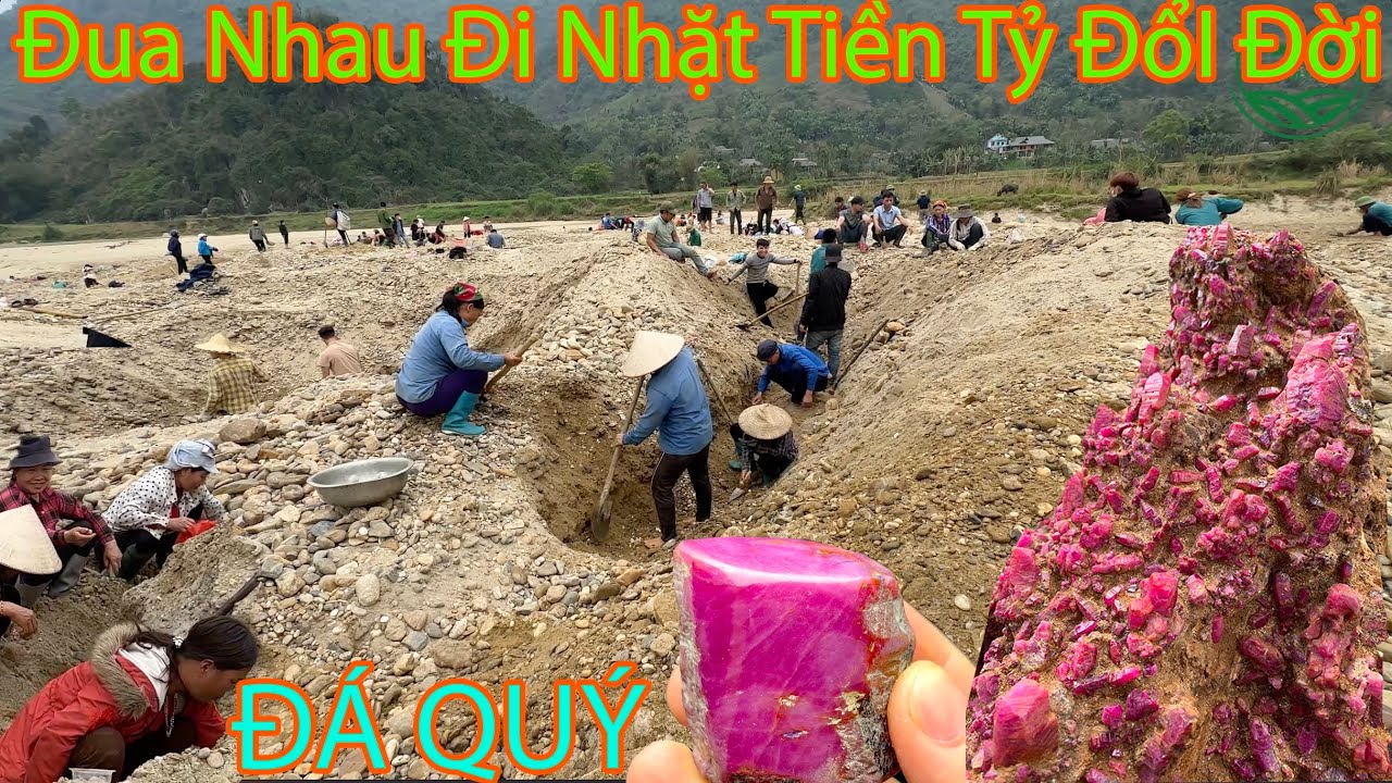 CHUYỆN LẠ Hàng Nghìn Người Ra Sông Nhặt ĐÁ QUÝ DỔI ĐỜI | Miền núi tây bắc