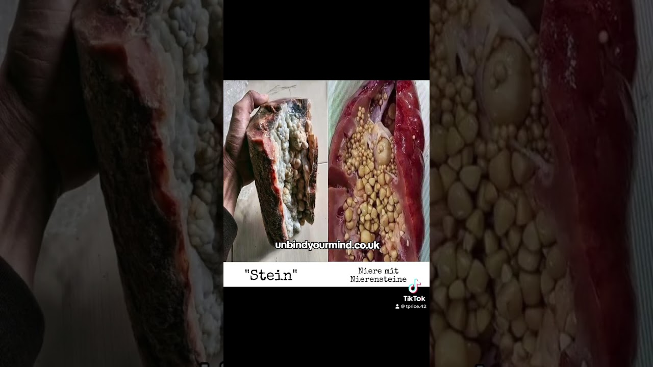 #geology #escapethematrix