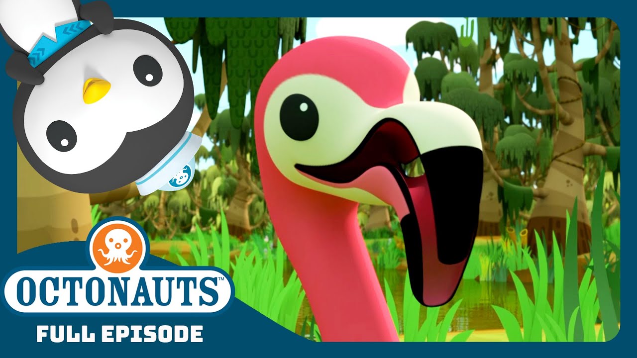 @Octonauts - 🌴 The Flamingos 🦩 | Season 4 | Full Episode | Cartoons for Kids