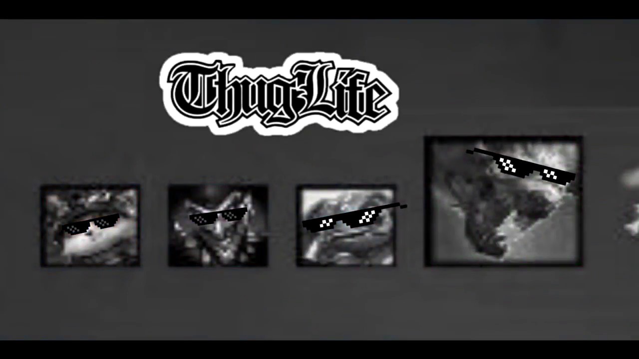 Fizz c&ugrave;ng đồng bọn TROLL Thug Life #1
