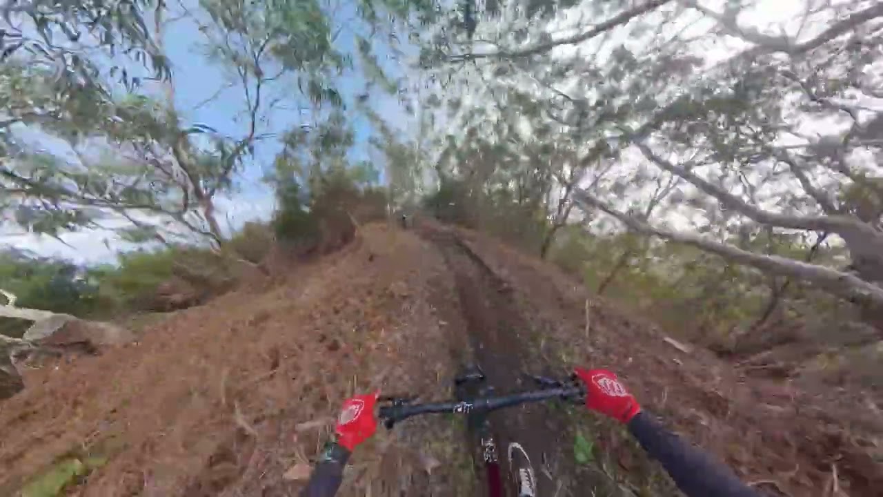 MTB TRAIL 