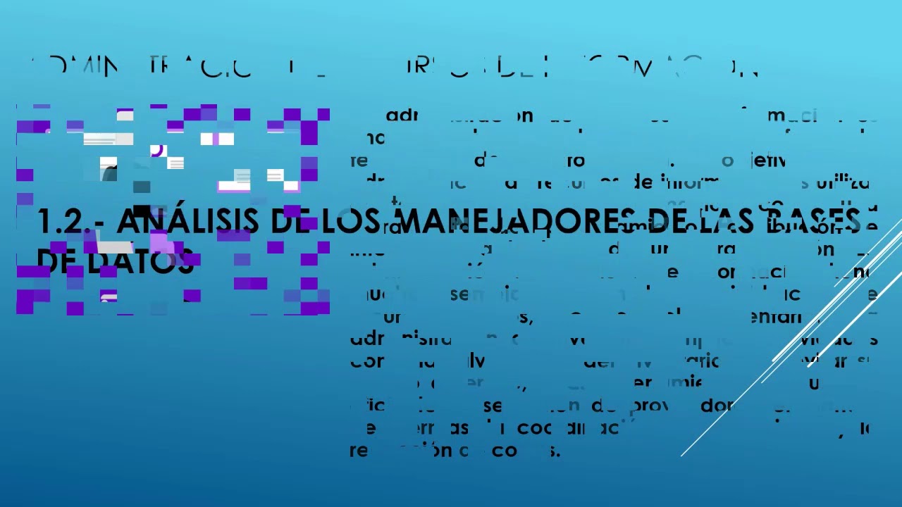 Administrador de base de datos