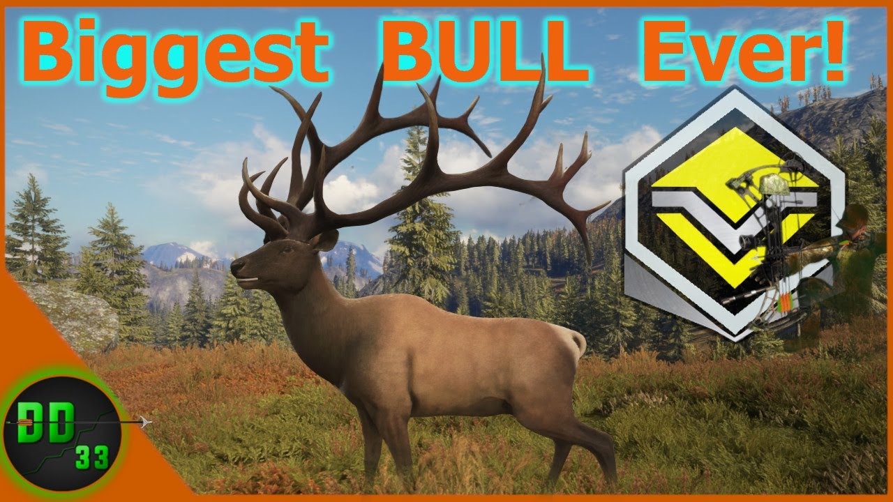 The BIGGEST BULL ELK I've Ever Seen!! Call Of The Wild