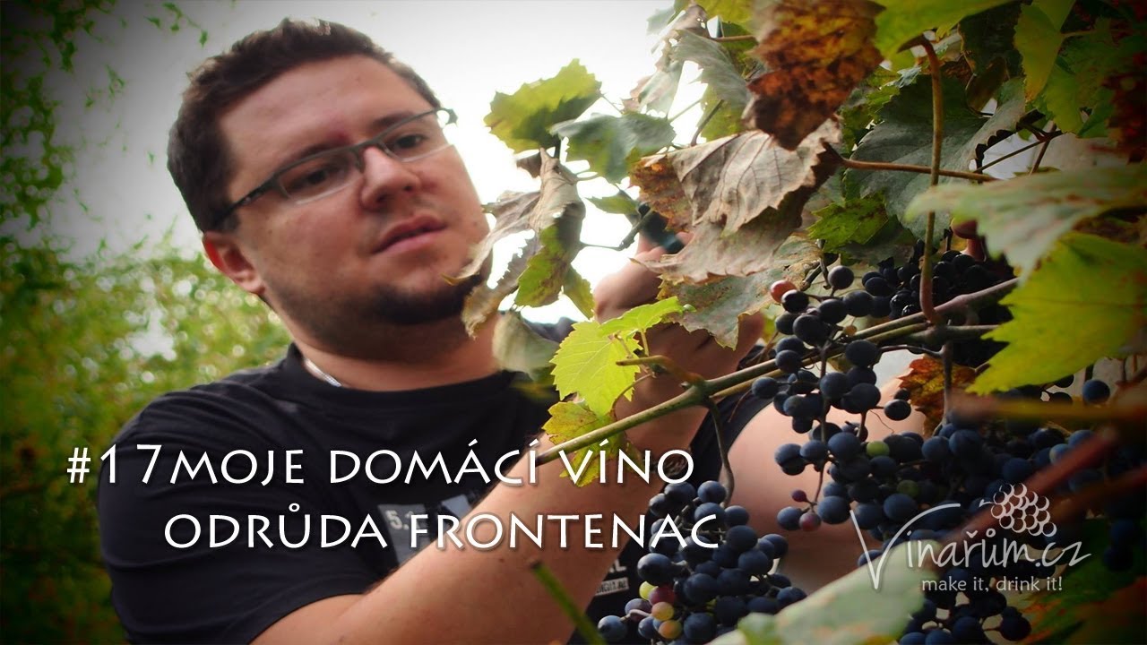 vinařům.cz - #17 moje domácí víno z révy - Frontenac 2016 - 1.část