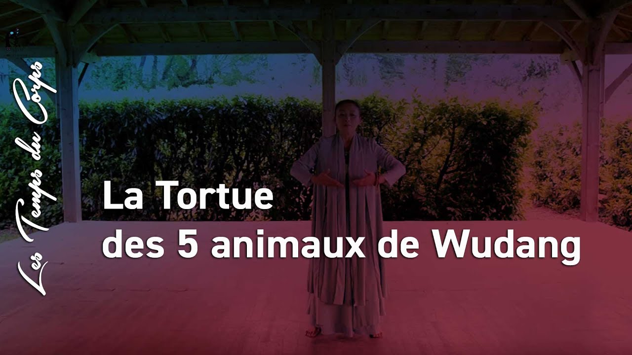 Maître Ke Wen présente le mouvement de la Tortue des 5 animaux de Wudang