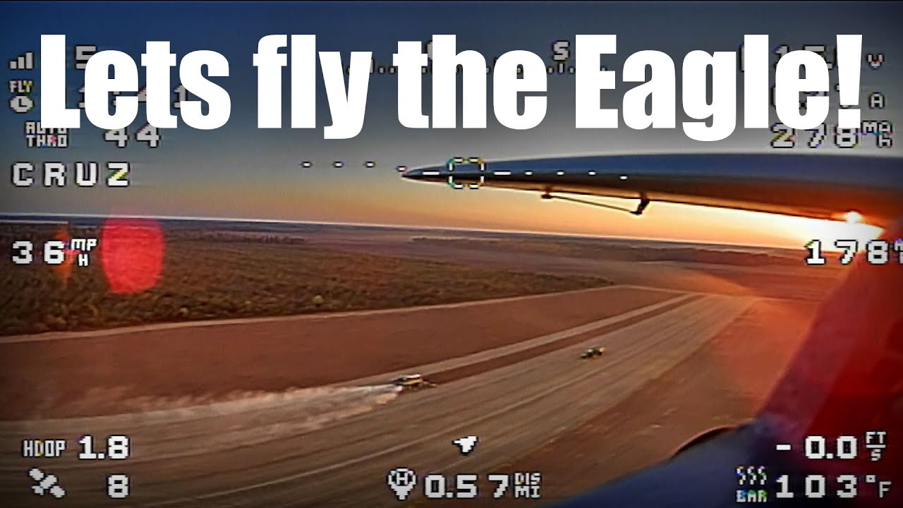 Lets fly the Esky Eagle!