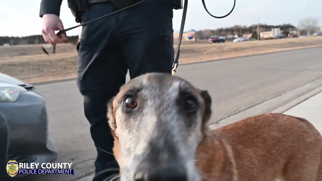Officer Paul Terpstra and K9 Axel