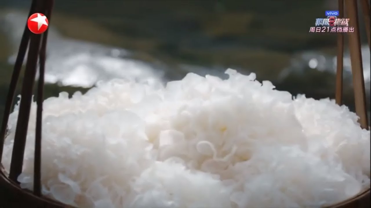 【看点】《本草中华2》银耳：菌种之冠 既可养生又是滋补良药 第4集【东方卫视官方高清HD】